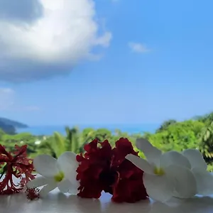 Cella Seychelles